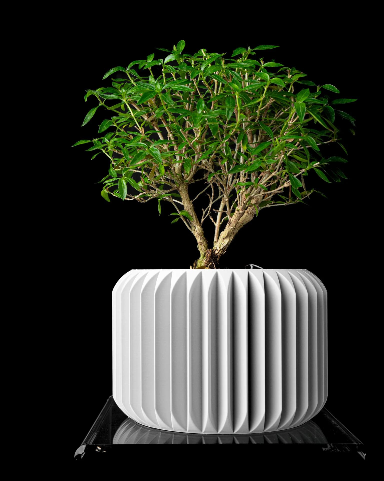 Nila – Cache-pot minimaliste à relief vertical - Miniature 2